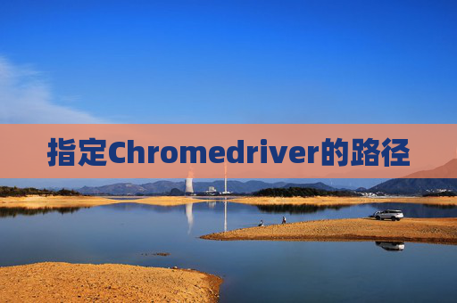 指定Chromedriver的路径