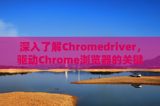 深入了解Chromedriver，驱动Chrome浏览器的关键工具