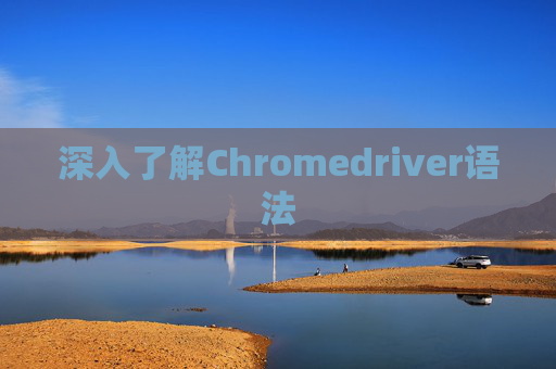 深入了解Chromedriver语法