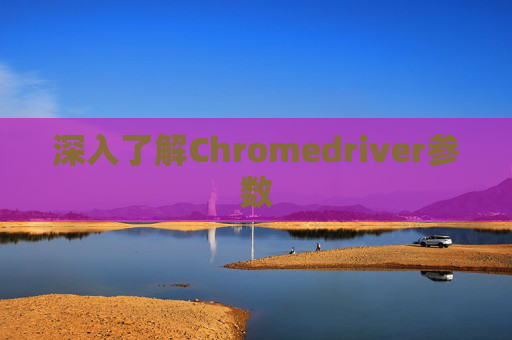 深入了解Chromedriver参数