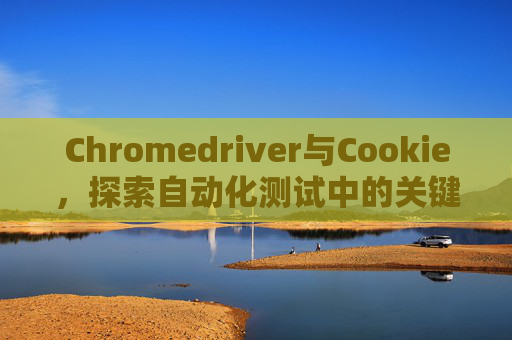 Chromedriver与Cookie，探索自动化测试中的关键元素