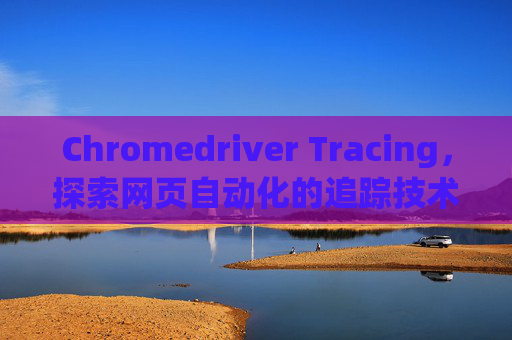 Chromedriver Tracing，探索网页自动化的追踪技术