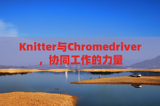 Knitter与Chromedriver，协同工作的力量